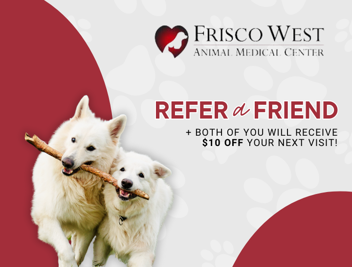 Refer a Friend