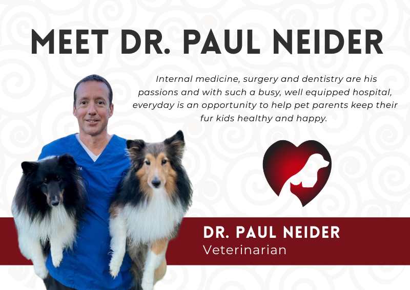 Carousel Slide 2: Welcome to the Team Dr. Neider