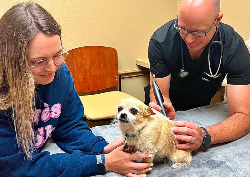 Carousel Slide 4: Now offering cryotherapy!